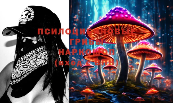 крисы Покров