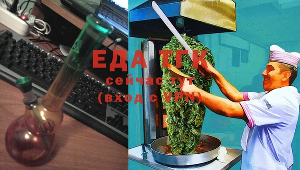 индика Балахна