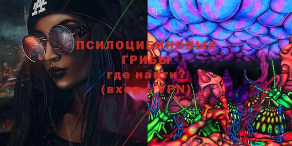 индика Балахна
