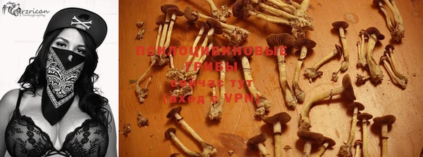 гашик Покачи