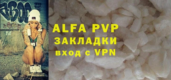 индика Балахна