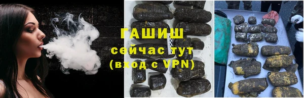 прущие грибы Белокуриха