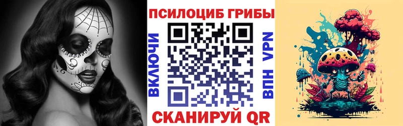 Псилоцибиновые грибы Cubensis  Стрежевой 
